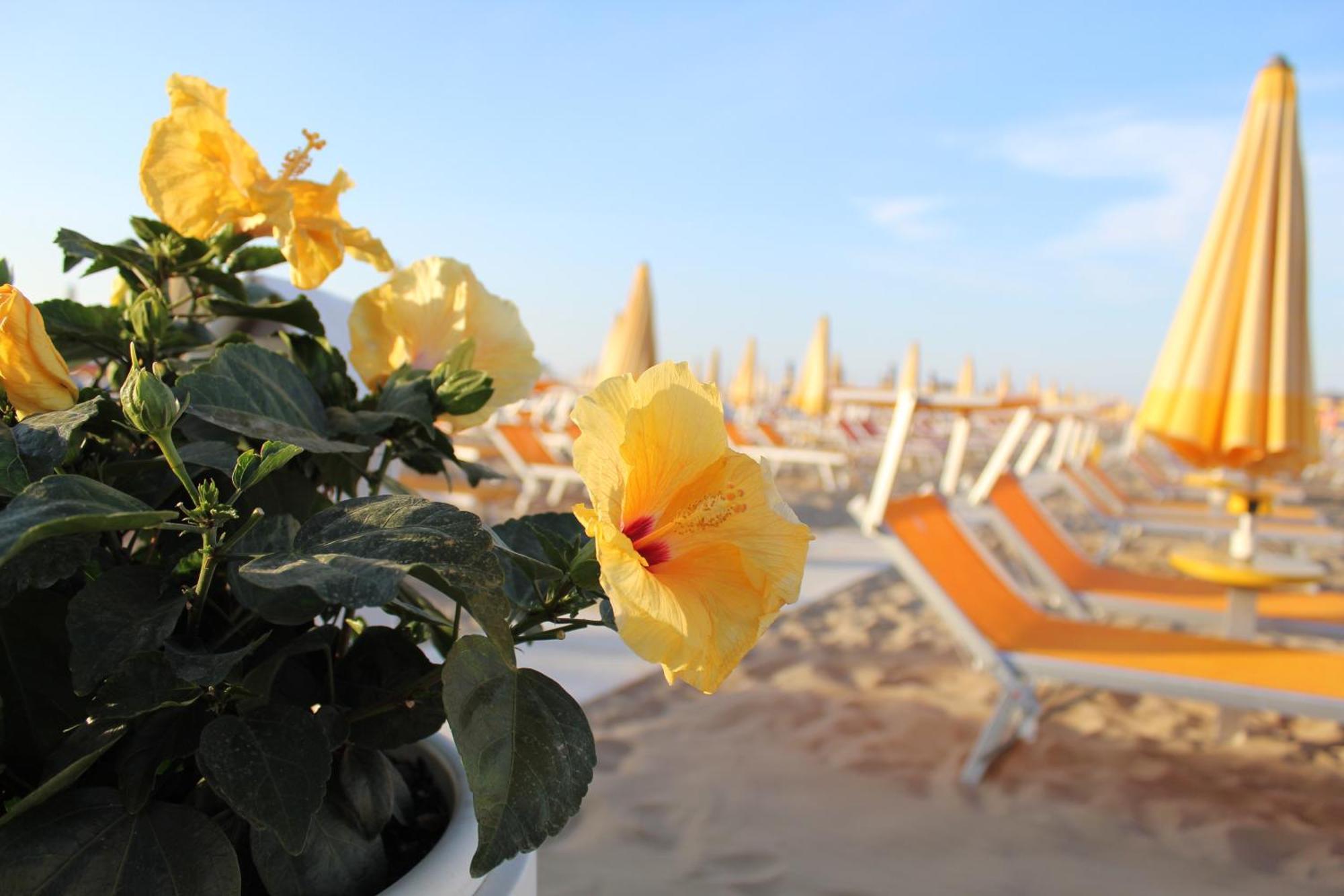 Hotel Villa Lieta Rimini Esterno foto